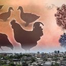 공덕농장 이미지