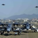 엘레펀트워크(elephant walk)