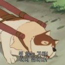 카페 안경 이미지