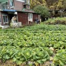 세븐일레븐 강화으뜸 이미지