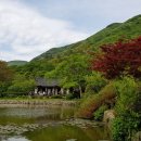 진도 운림산방 이미지