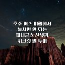 호주 퍼스 여행에서 놓치면 안 되는 피나클스 선셋과 시크릿 별 투어