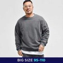 메이저핏 이미지