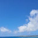 더퍼스트 호스텔 이미지