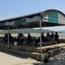 꽃섬해물 이미지