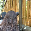 다오엠디 이미지