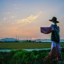 내판주유소 이미지