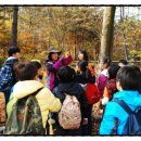 서울수리초등학교 이미지