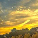 노고단가는길에 잠실 이미지