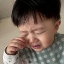 현정누리 | 제 눈에서는 유기상 속에서 츄의 모습이 보이네요