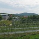 성덕마을회관 이미지