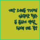 월전포 | 부산 기장 월전포구 오션뷰 카페 3곳 뷰 분위기 인생샷 포토존 완벽 비교 분석