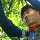 병수농장 이미지