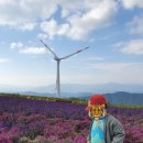 신원면-38 이미지