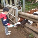 운수목장 이미지