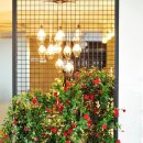 비밀의 정원 이미지