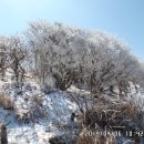노고단-4 Daum카페