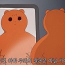 레디원 이미지