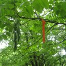 감로천약수터 이미지