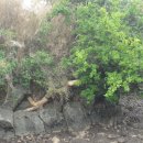 목천배수펌프장 이미지