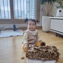 채은농장 이미지