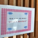 김포 운양동 장기동 먹자골목 혼밥 점메추 돈가츠 김치나베정식 맛집 내돈내먹 동경규동 🍱