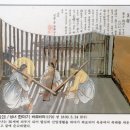 바르바라 이미지