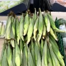 하나마트 이미지