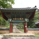 송광사 왕벚나무길 이미지