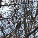 남선공원 이미지