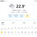 나이스직업소개소