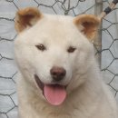 떡대 - 광진구 군자로 31-1 | 떡대