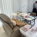 하쿠애견샵 이미지