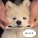 파라다이스경로당 이미지