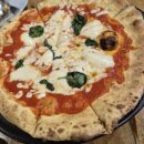 올리브 장작 이미지