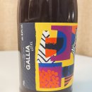 비에르 (BIERE) | 와인맥주 뷔에르(Viere), 갈리아 브루어리, 갈리아 가메 디르 가메 후기