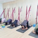 (소도구) 테라피 요가 이미지