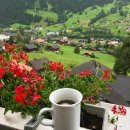 아이거 | 스위스 그린델발트 숙소 추천 벨베데레 호텔 아이거뷰 솔직 후기