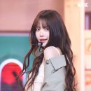 염색이야기 이미지