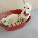 복희공인중개사사무소 이미지