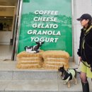 남이섬설리조트2 이미지