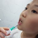 두드림에치알 | MJC 무선 전동 치간칫솔 초미세 두드림 진동 W.쇼핑메이커