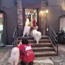 GS25 상수로즈점 이미지