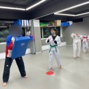 위올태권도 | 당산 성인태권도 당산 태권도성인부 위올태권도