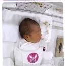순천 더 마더힐 산후조리원 13박 14일 내돈내산 솔직후기