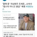 애견식단 이미지