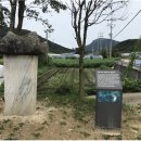 설보비 이미지