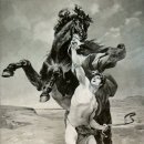 부케팔로스 이미지