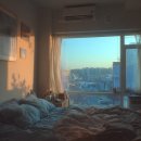벌크커피 노화보길점 | 멜라토닌영양제효능 시너지
