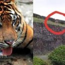 남수농장 이미지